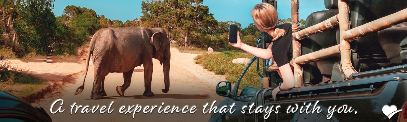 Unforgettable Safari Encounters: Travel Experiences That Stay With You | Travels with Betsy